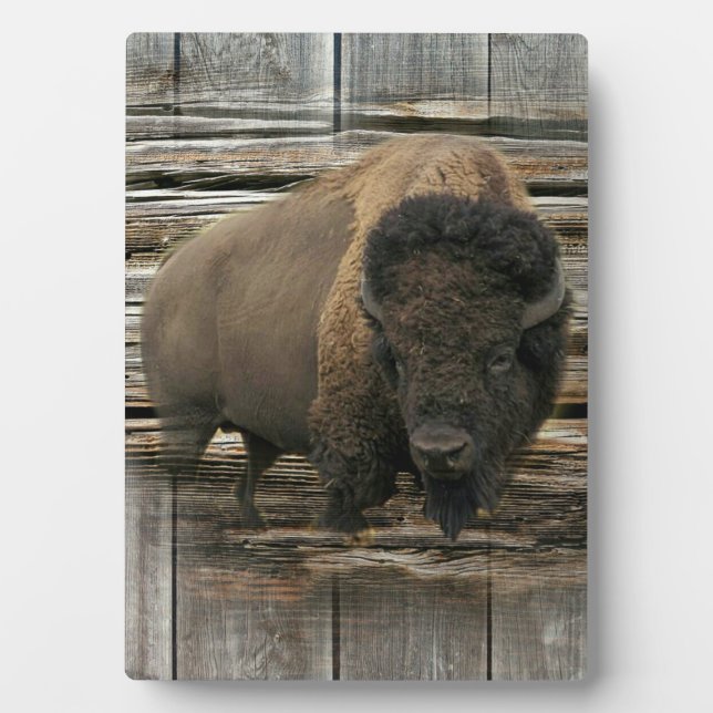 Plaque Photo Bison de bois (Devant)
