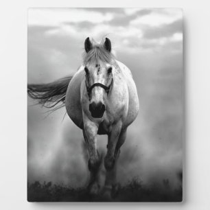 Plaque Photo Black White Runse Horse Freedom