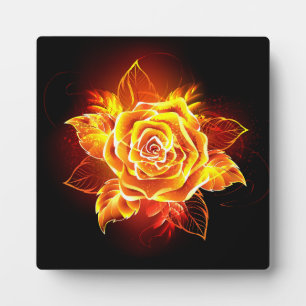 Plaque Photo Blooming Fire Rose