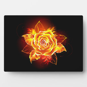 Plaque Photo Blooming Fire Rose