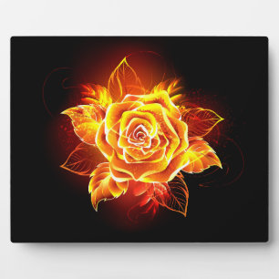 Plaque Photo Blooming Fire Rose