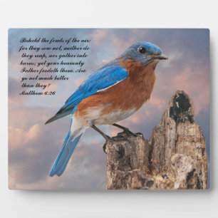 Plaque Photo BLUEBIRD - Matthieu 6:26