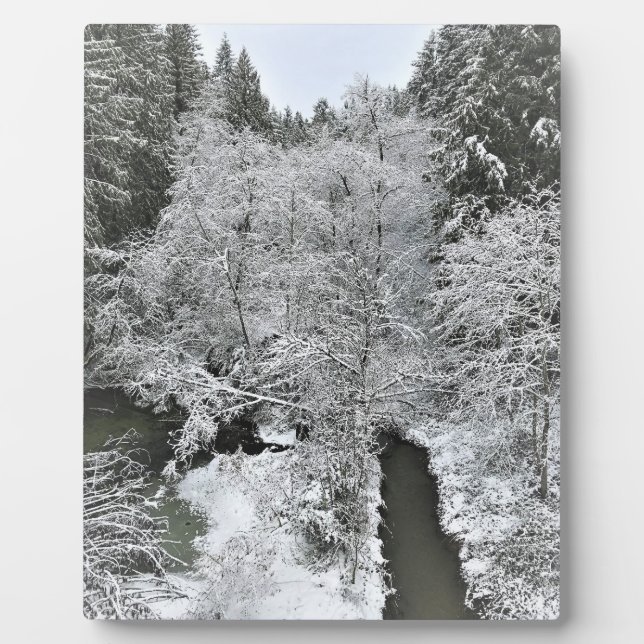 Plaque Photo Boeckman Creek en hiver (Devant)