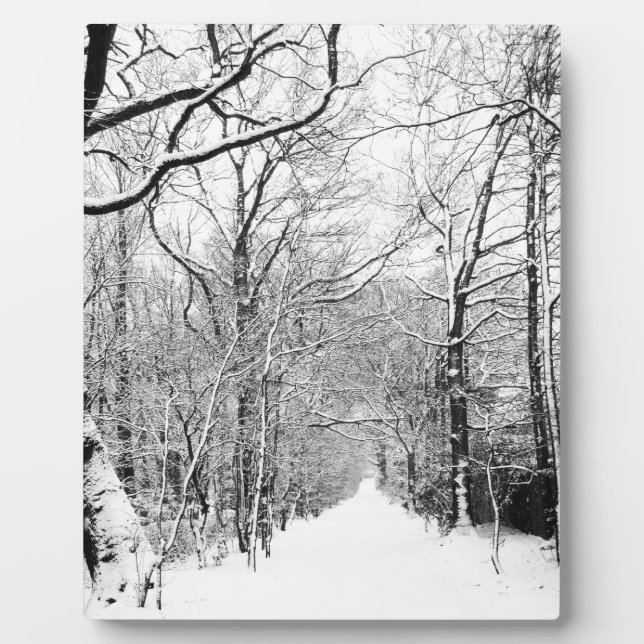 Plaque Photo Bois d'hiver froid (Devant)