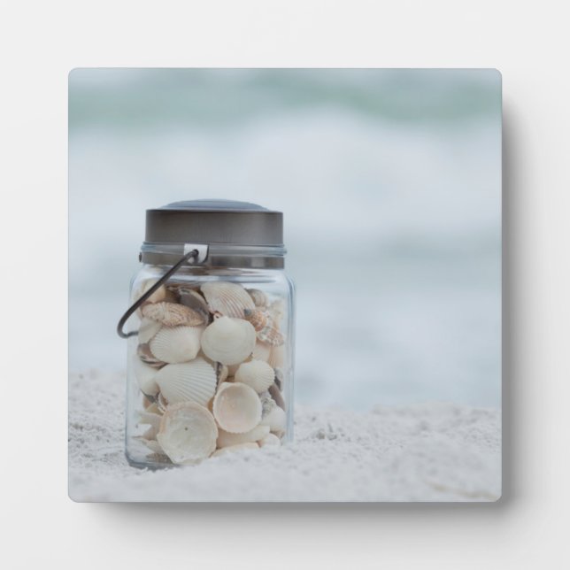Plaque Photo Borne De Coquillages Sur La Plage | Floride (Devant)