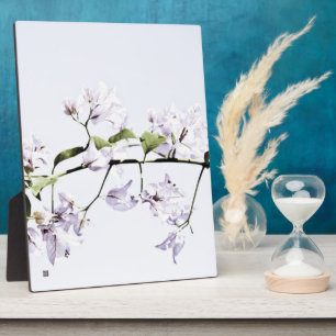 Plaque Photo Bougainvillea