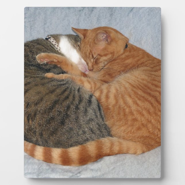 Plaque Photo Boule de la laideur (Devant)