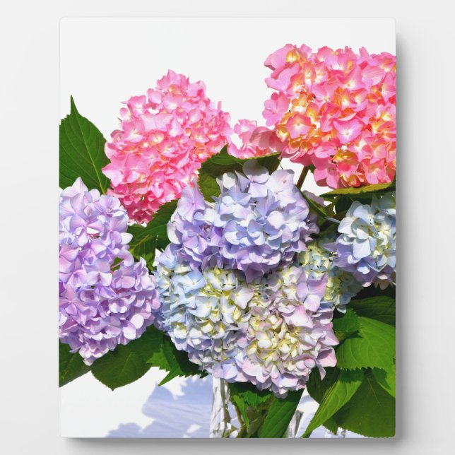 Plaque Photo Bouquet Hydrangea (Devant)