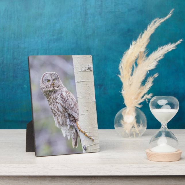 Plaque Photo Branche d'arbre d'astre gris (Côté)