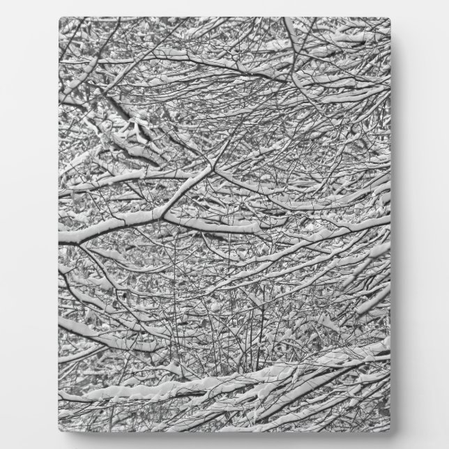 Plaque Photo Branches de neige (Devant)