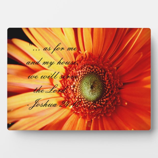 Plaque Photo Bright Orange Daisy (Devant)