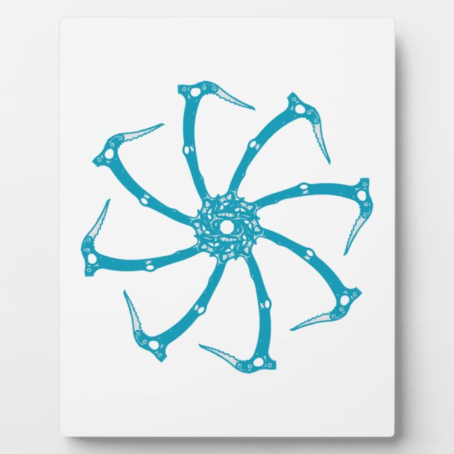 Plaque Photo Broche de l'outil de glace (Devant)