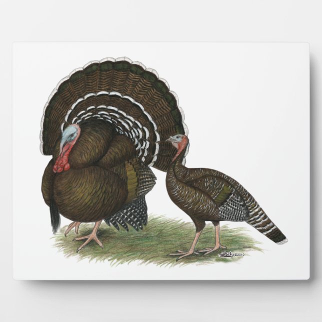 Plaque Photo Bronze standard de Turkey (Devant)