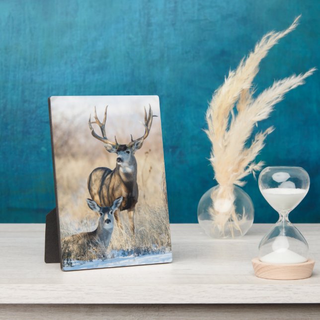 Plaque Photo Buck Couple | Mule Deer (Côté)