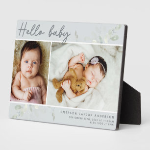 Plaque Photo Budget Eucalyptus Photo Hello Baby Stats