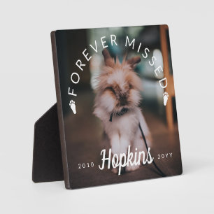 Plaque Photo Bunny Paws Texte Courbé Pour Jamais Manqué Lapin P