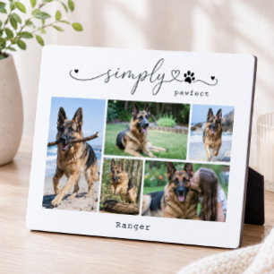 Plaque Photo Cadeau de cinq photos de compagnie blanche simplem