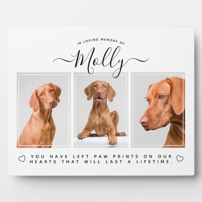 Plaque Photo Cadeau de mémorial pour chien - Perte d'animal de  (Devant)