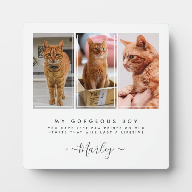 Plaque Photo Cadeau de perte d'animal de compagnie pour chien e (Devant)