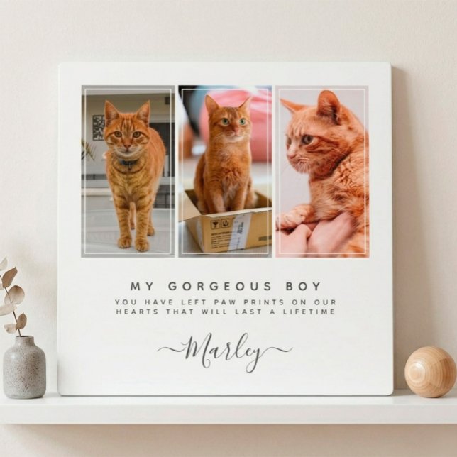 Plaque Photo Cadeau de perte d'animal de compagnie pour chien e (Pet Loss Gift for Dog & Cat, 3 Photo Pet Memorial Plaque)