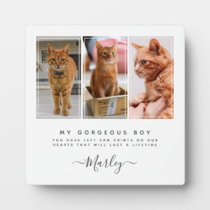 Plaque Photo Cadeau de perte pour animal de compagnie pour chie