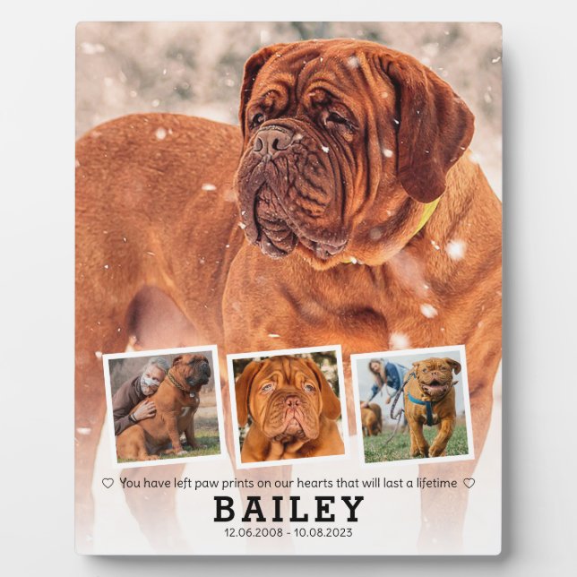 Plaque Photo Cadeau de souvenir de compagnie - Collage de 4 pho (Devant)