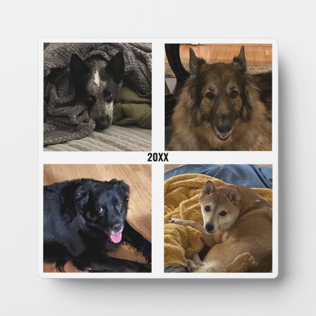 Plaque Photo Cadre de mise en place de quatre photos (Devant)