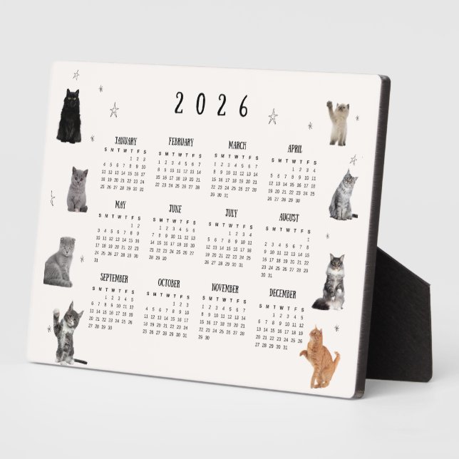 Plaque Photo Calendrier 2026 Chat Mignon Drôle (Côté)