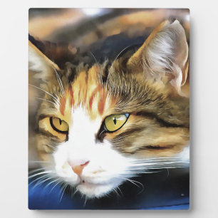 Plaque Photo Calico Jaune Chat réaliste Portrait pour animal