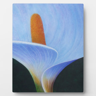 Plaque Photo Calla Lilly