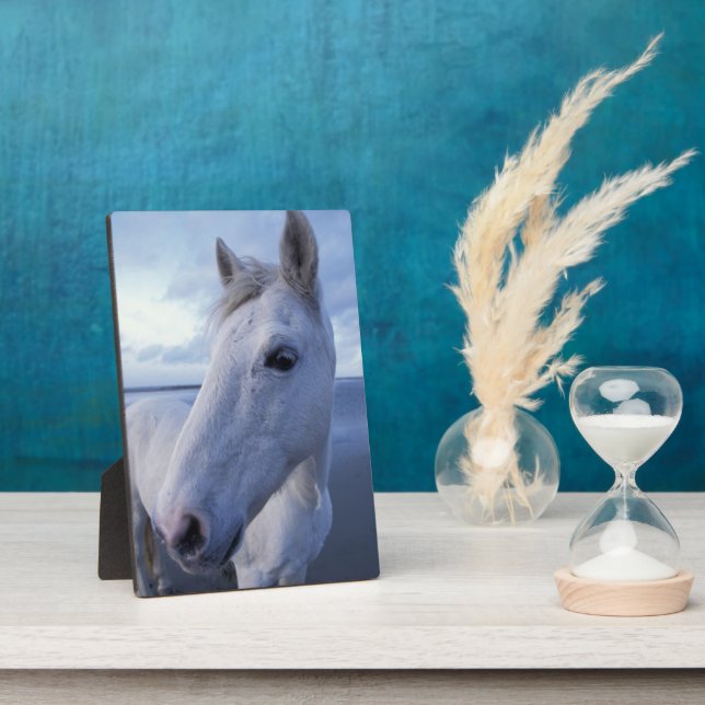 Plaque Photo Camargue Horse (Côté)