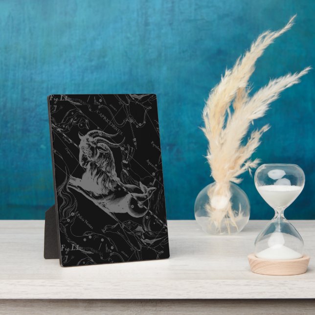 Plaque Photo Capricorne Constellation Hevelius 1690 Engraving (Côté)