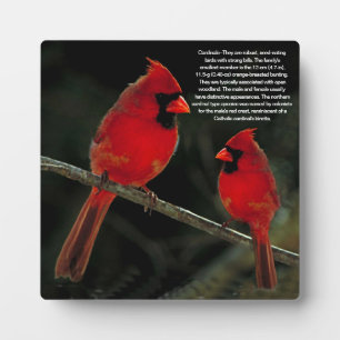PLAQUE PHOTO CARDINAL