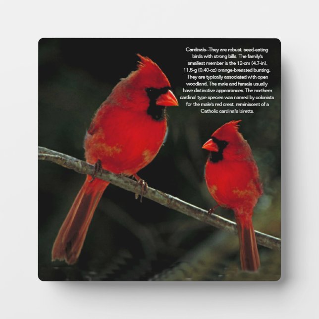 PLAQUE PHOTO CARDINAL (Devant)