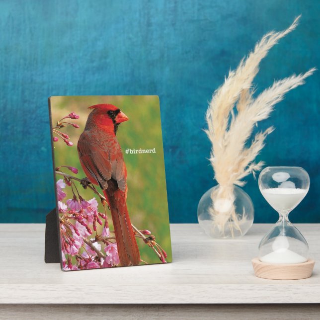 Plaque Photo Cardinal du Nord (Côté)