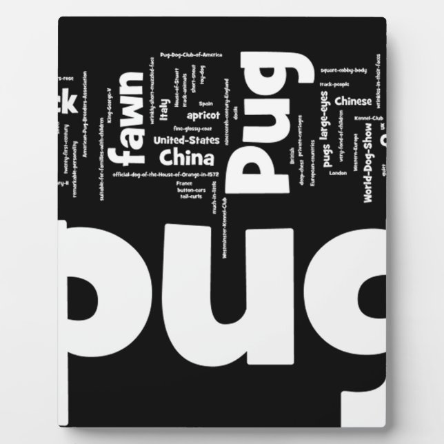 Plaque Photo carlin mashup.png (Devant)