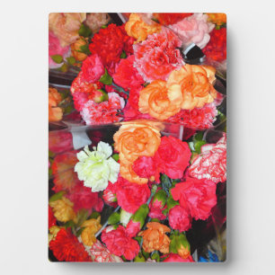 Plaque photo Carnation Flower Mix