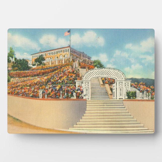 Plaque Photo Catalina (Devant)