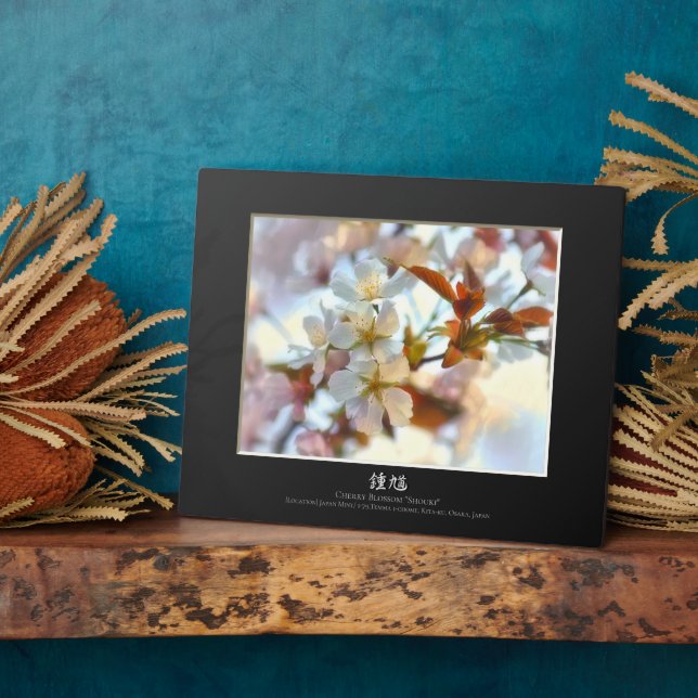 Plaque Photo Cerisier en fleurs : Shouki  (Côté)