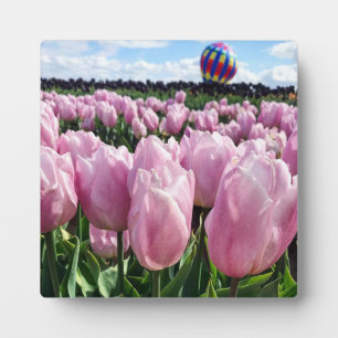 Plaque Photo Champ de tulipe rose avec ballon à air chaud, Oreg