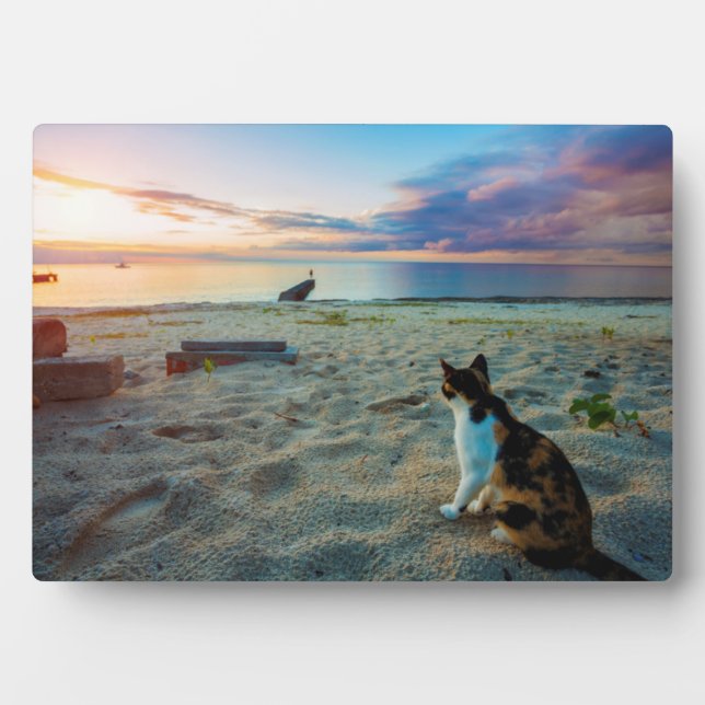 Plaque Photo Chat Assis Sur Une Plage (Devant)