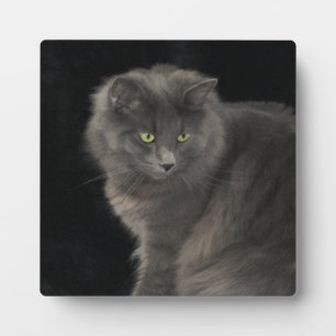 Plaque Photo Chat gris Long Cheveux Russe Bleu Kitty Kitten Mig