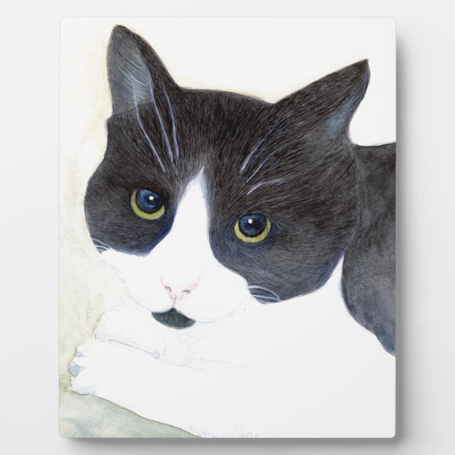 Plaque Photo Chat noir et blanc (Devant)