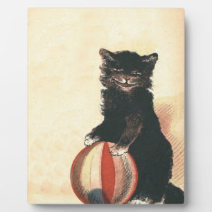 Plaque Photo Chat Noir HALLOWEEN Vintage