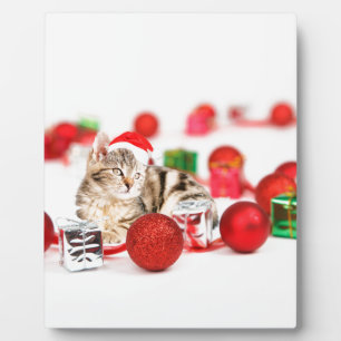 Plaque Photo Chat portant le chapeau rouge du Père Noël