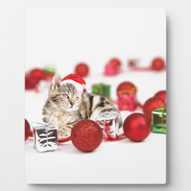 Plaque Photo Chat portant le chapeau rouge du Père Noël (Devant)