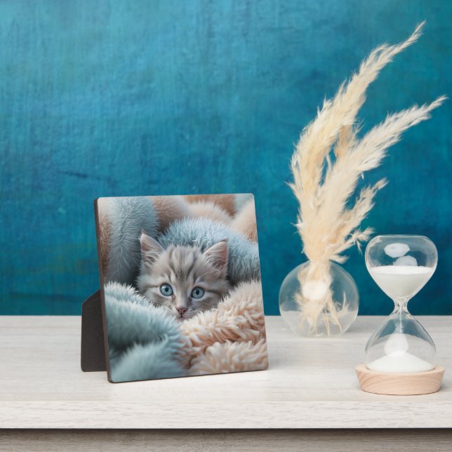 Plaque Photo Chaton duveteux dans une couverture douce (Insitu)