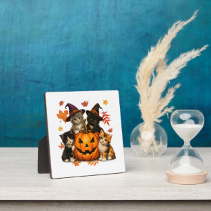 Plaque Photo Chatons Mignons Halloween Citrouille Saison Sombre