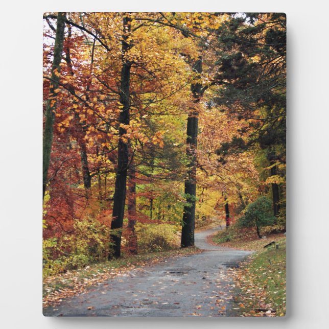Plaque Photo Chemins (Devant)