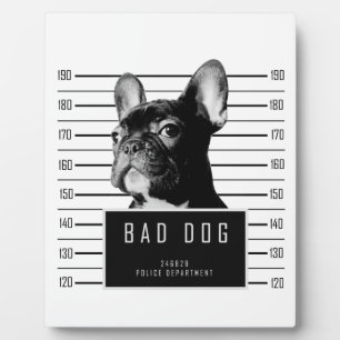 Plaque Photo Chemise de Mugshot de Chien-taureau français